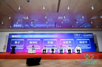 2021中國(guó)互聯(lián)網(wǎng)大會(huì) 數(shù)字政府論壇在京舉辦